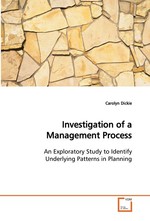 Investigation of a Management Process. An Exploratory Study to Identify Underlying Patterns in Planning