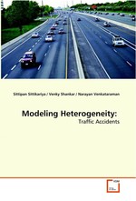 Modeling Heterogeneity:. Traffic Accidents