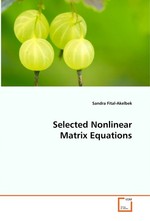 Selected Nonlinear Matrix Equations