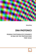 DNA PHOTONICS. PROBING PHOTOINDUCED DYNAMICS IN DNA ON THE FEMTOSECOND TIME SCALE
