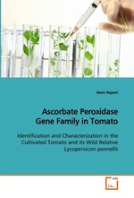 Ascorbate Peroxidase Gene Family in Tomato. Identification and Characterization in the Cultivated Tomato and its Wild Relative Lycopersicon pennellii