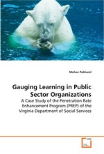 Gauging Learning in Public Sector Organizations. A Case Study of the Penetration Rate Enhancement Program (PREP) of the Virginia Department of Social Services