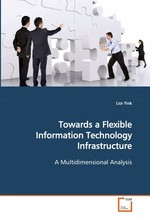 Towards a Flexible Information Technology Infrastructure. A Multidimensional Analysis