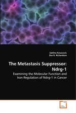 The Metastasis Suppressor: Ndrg-1. Examining the Molecular Function and Iron  Regulation of Ndrg-1 in Cancer