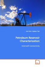 Petroleum Reservoir Characterization. Interwell Connectivity