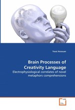 Brain Processes of Creativity Language. Electrophysiological correlates of novel metaphors comprehensions