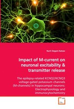 Impact of M-current on neuronal excitability. The epilepsy-related KCNQ2/KCNQ3 voltage-gated potassium channels (M-channels) in hippocampal neurons: Electrophysiology and immunocytochemistry