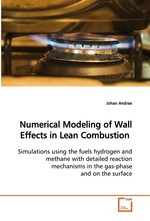 Numerical Modeling of Wall Effects in Lean  Combustion. Simulations using the fuels hydrogen and methane  with detailed reaction mechanisms in the gas-phase  and on the surface