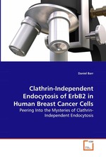 Clathrin-Independent Endocytosis of ErbB2 in Human Breast Cancer Cells. Peering Into the Mysteries of Clathrin-Independent Endocytosis