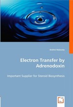 Electron Transfer by Adrenodoxin. Important Supplier for Steroid Biosynthesis