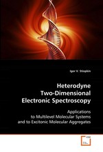 Heterodyne Two-Dimensional Electronic Spectroscopy. Applications to Multilevel Molecular Systems and to Excitonic Molecular Aggregates