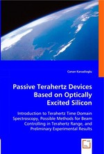 Passive Terahertz Devices Based on Optically Excited Silicon. Introduction to Terahertz Time Domain Spectroscopy, Possible Methods for Beam Controlling in Terahertz Range, and Preliminary Experimental Results