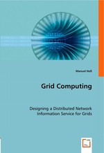 Grid Computing. Designing a Distributed Network Information Service for Grids