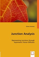 Junction Analysis. Representing Junctions through Asymmetric Tensor Diffusion
