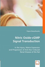Nitric Oxide-cGMP Signal Transduction. In the Injury, Matrix Expansion and Progression of Anti-thy1-induced Renal Disease of the Rat