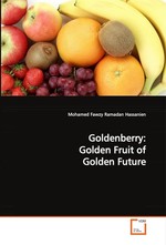Goldenberry: Golden Fruit of Golden Future