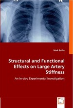 Structural and Functional Effects on Large Artery Stiffness. An In-vivo Experimental Investigation