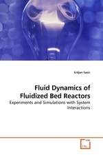 Fluid Dynamics of Fluidized Bed Reactors. Experiments and Simulations with System Interactions