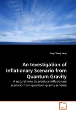 An Investigation of Inflationary Scenario from Quantum Gravity. A natural way to produce inflationary scenario from quantum gravity scheme