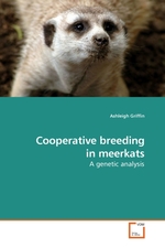 Cooperative breeding in meerkats. A genetic analysis