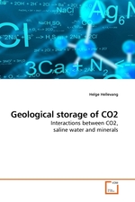 Geological storage of CO2. Interactions between CO2, saline water and minerals