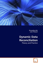 Dynamic Data Reconciliation. Theory and Practice