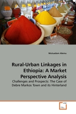 Rural-Urban Linkages in Ethiopia: A Market Perspective Analysis. Challenges and Prospects: The Case of Debre Markos Town and its Hinterland