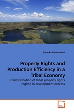 Property Rights and Production Efficiency in a Tribal Economy. Transformation of tribal property rights regime in development process