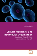 Cellular Mechanics and Intracellular Organization. Visualising dynamic force transmission in live cells