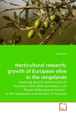 Horticultural research; growth of European olive in the rangelands. Assessing growth performance of European olive (Olea europaea L.) on Mount Weld pastoral station, in the rangelands environment of Australia