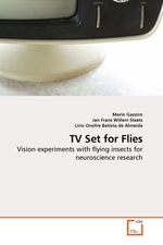 TV Set for Flies. Vision experiments with flying insects for neuroscience research