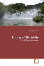 Pricing of Electricity. in Different Contexts