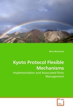 Kyoto Protocol Flexible Mechanisms. Implementation and Associated Risks Management