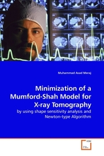 Minimization of a Mumford-Shah Model for X-ray Tomography. by using shape sensitivity analysis and Newton-type Algorithm