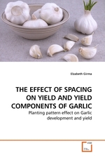 THE EFFECT OF SPACING ON YIELD AND YIELD COMPONENTS OF GARLIC. Planting pattern effect on Garlic development and yield