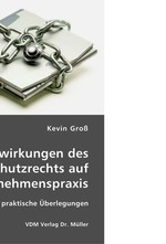 Die Auswirkungen des Datenschutzrechts auf die Unternehmenspraxis. Grundlagen und praktische A?berlegungen