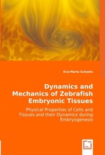 Dynamics and Mechanics of Zebrafish Embryonic Tissues. Physical Properties of Cells and Tissues and their Dynamics during Embryogenesis