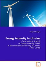 Energy Intensity in Ukraine. Cross-sectoral Analysis of Energy Intensity Trends in the Transitional Economy of Ukraine (1991 - 2003)