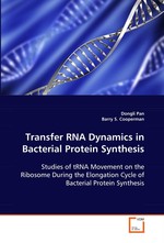 Transfer RNA Dynamics in Bacterial Protein Synthesis. Studies of tRNA Movement on the Ribosome During the Elongation Cycle of Bacterial Protein Synthesis