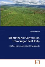 Biomethanol Conversion from Sugar Beet Pulp. Biofuel from Agricultural Byproducts