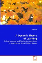A Dynamic Theory of Learning. Online Learning and Stochastic Algorithms in Reproducing Kernel Hilbert Spaces