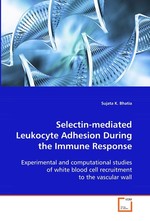 Selectin-mediated Leukocyte Adhesion During the  Immune Response. Experimental and computational studies of white  blood cell recruitment to the vascular wall