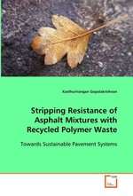 Stripping Resistance of Asphalt Mixtures with Recycled Polymer Waste. Towards Sustainable Pavement Systems