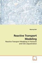 Reactive Transport Modeling. Reactive Transport Modeling in Fractures and CO2 sequestration