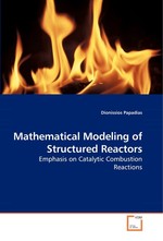 Mathematical Modeling of Structured Reactors. Emphasis on Catalytic Combustion Reactions