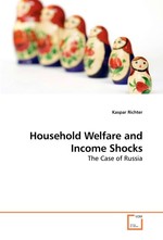 Household Welfare and Income Shocks. The Case of Russia