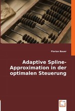 Adaptive Spline-Approximation in der optimalen Steuerung