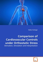 Comparison of Cardiovascular Controls under Orthostatic Stress. Derivation, Simulation and Interpretation