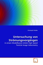 Untersuchung von Stroemungsvorgaengen. in einem Modellkanal mittels High Speed Particle Image Velocimetry