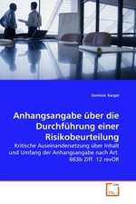 Anhangsangabe ueber die Durchfuehrung einer Risikobeurteilung. Kritische Auseinandersetzung ueber Inhalt und Umfang der Anhangsangabe nach Art. 663b Ziff. 12 revOR